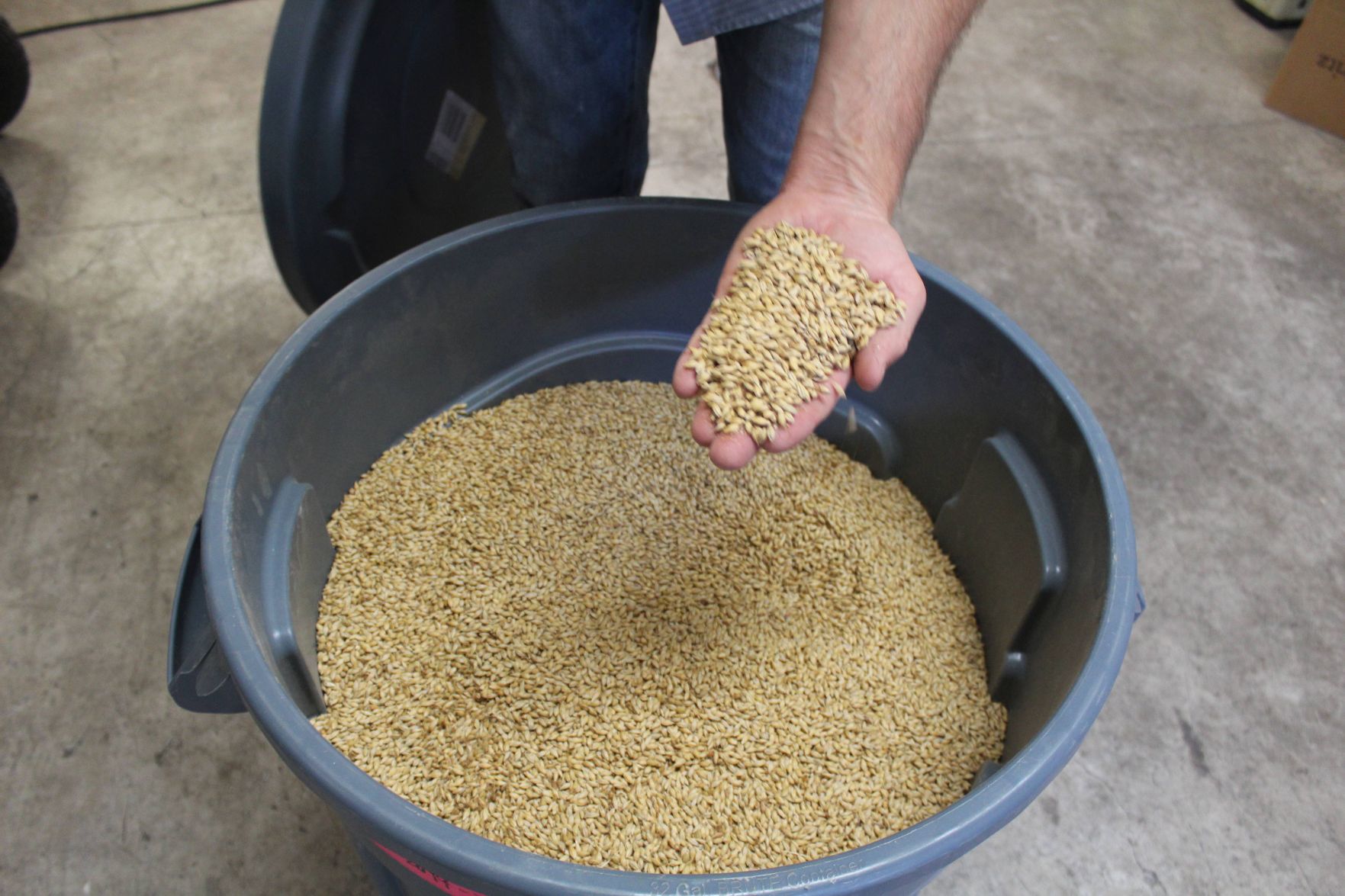 Using local sources to make a "Single Origin" beer at Mad Fritz Brewing in the Napa Valley